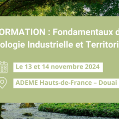 Formation : maîtriser les fondamentaux de l’Écologie Industrielle et Territoriale pour une transformation durable