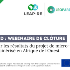 Clap de fin pour le projet LEOPARD : quelles avancées sur les micro-grids en Afrique ?